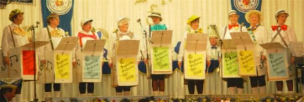 Sp�tlese mit dem Pappkartonsong